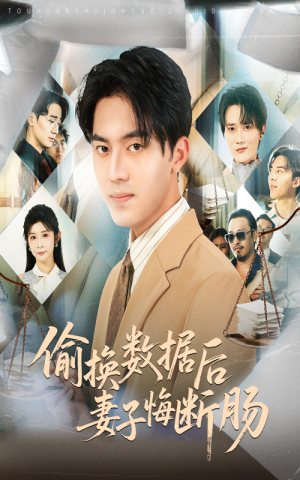 偷换数据后妻子悔断肠（63集）百看不厌的精彩短剧分享