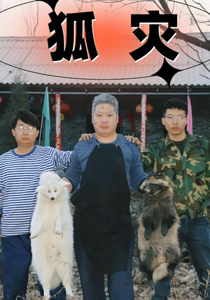 狐灾（25集）一毛不花追完短剧的平台精选