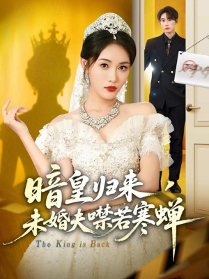 暗皇归来，未婚夫噤若寒蝉（65集）热播短剧抢先看全集