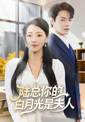 陆总你的白月光是夫人（51集）零花钱看整部短剧