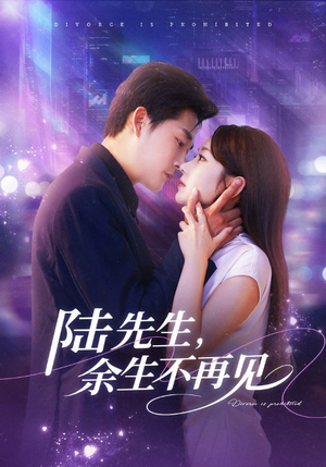 陆先生，余生不再见（88集）精彩短剧每天更新