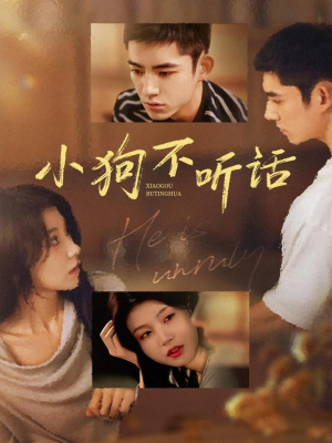 小狗不听话（70集）这部短剧我爱了推荐平台精选