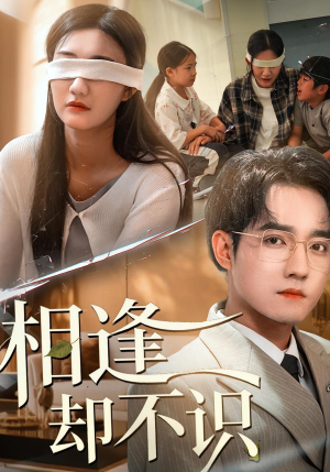 相逢却不识（77集）红果短剧app免费看