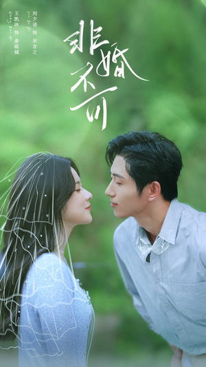 非婚不可（65集）超好看短剧推荐