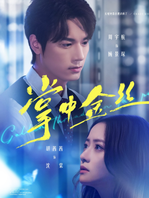 长姐她竟是隐藏大佬（60集）左下角看全集精彩短剧