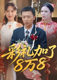 彩礼加了8万8（54集）推荐短剧一口气要看完