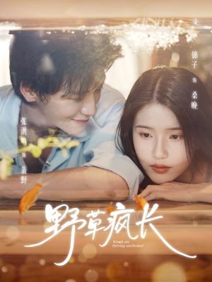 野草疯长（71集）在线观看全集高清短剧