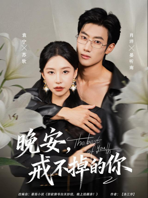 晚安，戒不掉的你（68集）终于可以免费看短剧了