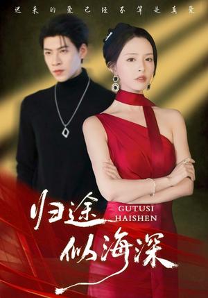 归途似海深（61集）好看的国产短剧