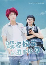 毁容校花和丑男校草（91集）短剧在哪个平台看好
