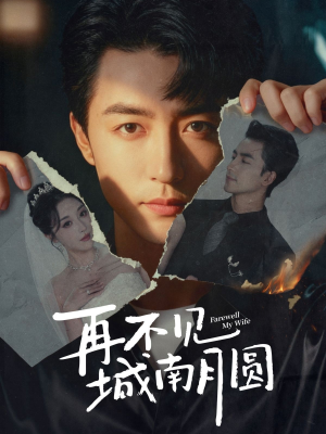 再不见城南月圆（60集）全网最火催泪短剧