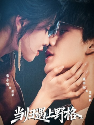 当归遇上野格（66集）短剧分享精彩后续