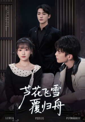 芦花飞雪覆归舟（77集）短剧在哪个平台