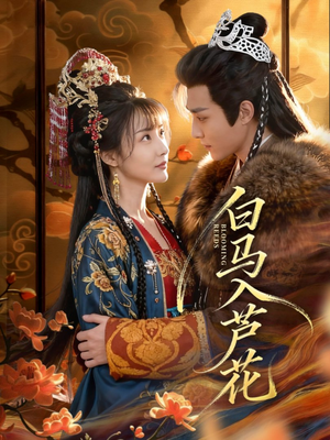 白马入芦花（59集）直接看到大结局的短剧资源