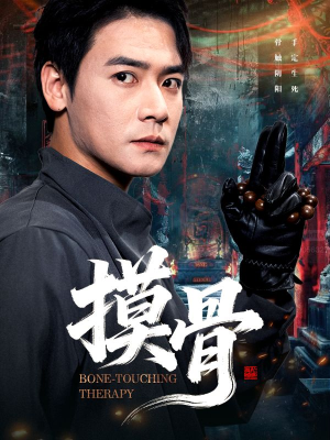 摸骨（74集）红果短剧看全集