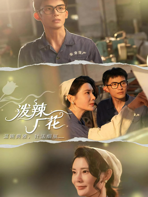 泼辣厂花（68集）短剧小说在线看