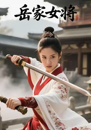 岳家女将（20集）热门短剧推荐短剧片段