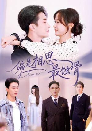 烬爱无归处（70集）免费的短剧就是爽