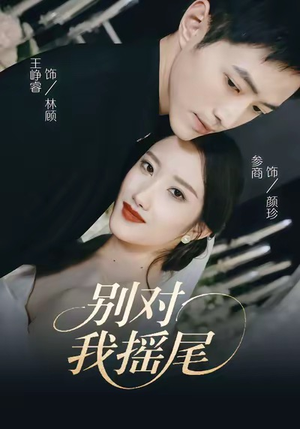 别对我摇尾（59集）短剧全集畅看无门槛