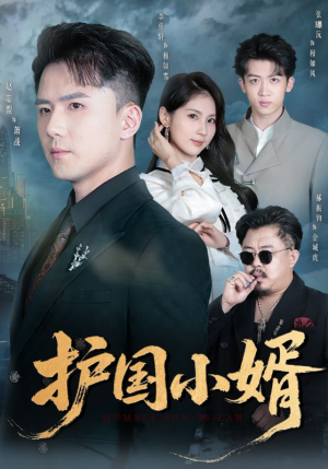 护国小婿（60集）好看的小短剧推荐