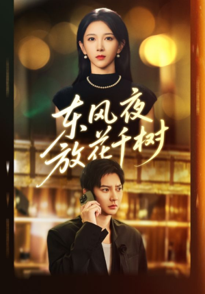 东风夜放花千树（91集）热门短剧推荐精彩片段