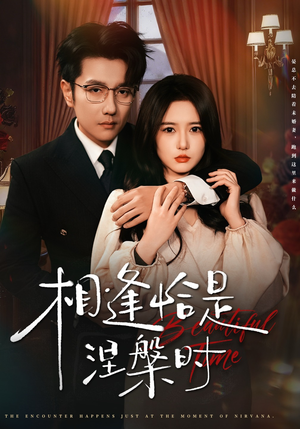 相逢恰是涅槃时（63集）看上一眼就上头短剧