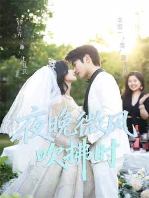 夜晚微风吹拂时（61集）精彩短剧天天更新