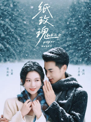纸玫瑰第二部（80集）不要钱也能看完整部短剧