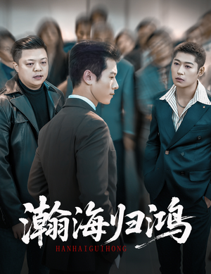 瀚海归鸿（74集）短剧热播好剧抢先看