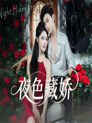 夜色藏娇（65集）短剧终篇全集限免看