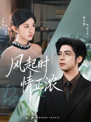风起时情正浓（79集）穿越题材短剧免费看