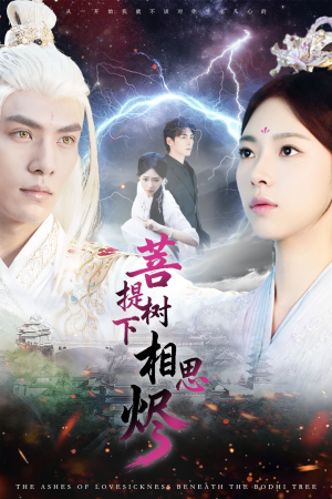 菩提树下相思烬（63集）短剧抢先看精彩无限量