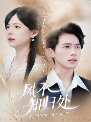 风不知归处（78集）全集短剧我都看完了