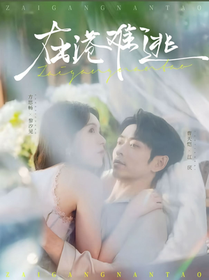 在港难逃（75集）短剧大结局合集放送