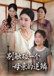 别触碰一个母亲的逆鳞（33集）超精彩热门短剧推荐