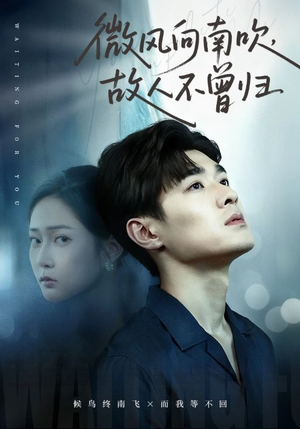 微风向南吹，故人不曾归（72集）最新火爆短剧抢先看全集