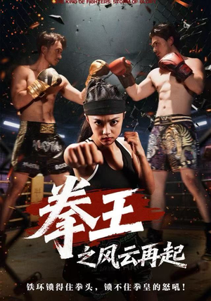 拳王之风云再起（50集）热门短剧排行榜