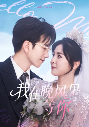 我在晚风里等你（65集）热门短剧在线看