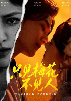 只见梅花不见人（63集）短剧全集高清完整版