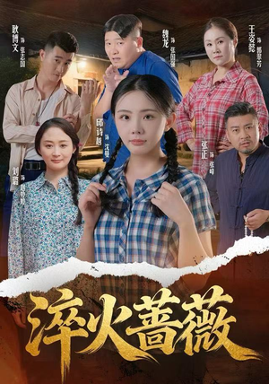 淬火蔷薇（50集）经典短剧重温旧梦