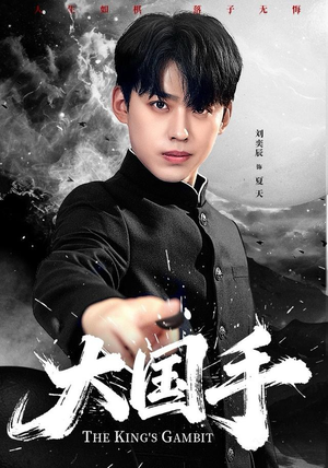 大国手（76集）热门短剧免费观看