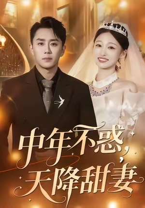 中年不惑，天降甜妻（60集）精彩短剧好剧推荐