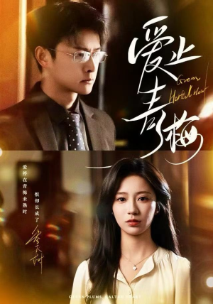 爱止青梅（60集） 超级好看的短剧追完不后悔