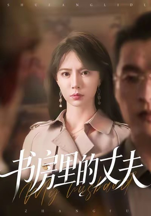 书房里的丈夫（100集）热播短剧精彩片段