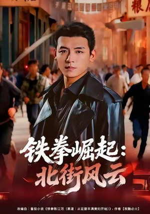 铁拳崛起：北街风云（80集）免费看短剧大结局