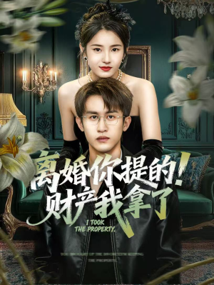 离婚你提的！财产我拿了（63集）最热短剧抢先看