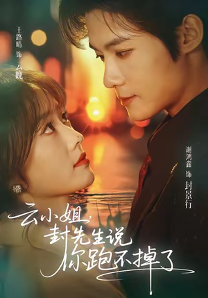 云小姐，封先生说你跑不掉了（89集）免费观看完整版短剧