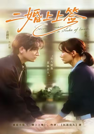 二婚上上签（71集）短剧限免全集任你点