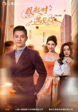 风起时遇见你（59集）一口气享受短剧大结局的快感