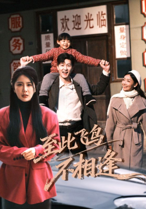 至此飞鸟不相逢（70集）短剧超清全集在线看